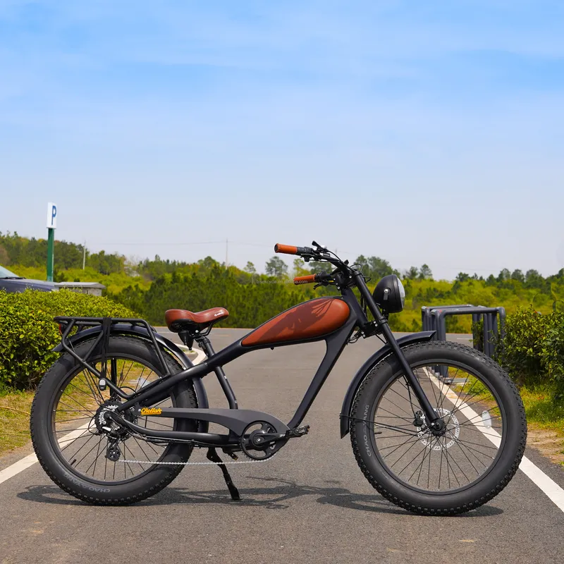 Vélo Électrique Vintage OEM 75 - Road Bike Tire avis et prix