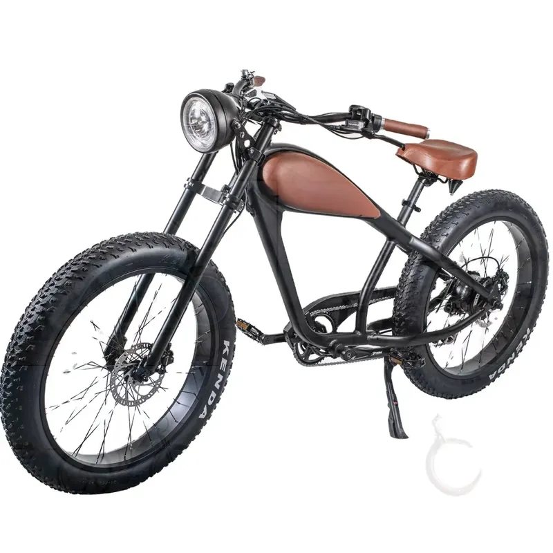 Vélo Électrique Vintage OEM 75 - Road Bike Tire avis et prix